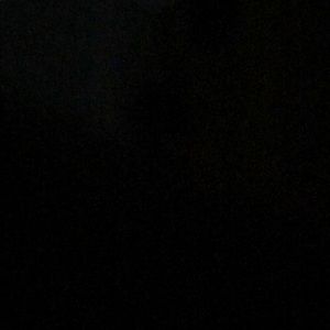 Meet your Posher, Ron